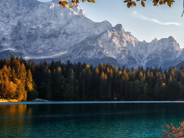Bergsee mit Baum und Bergen im Hintergrund