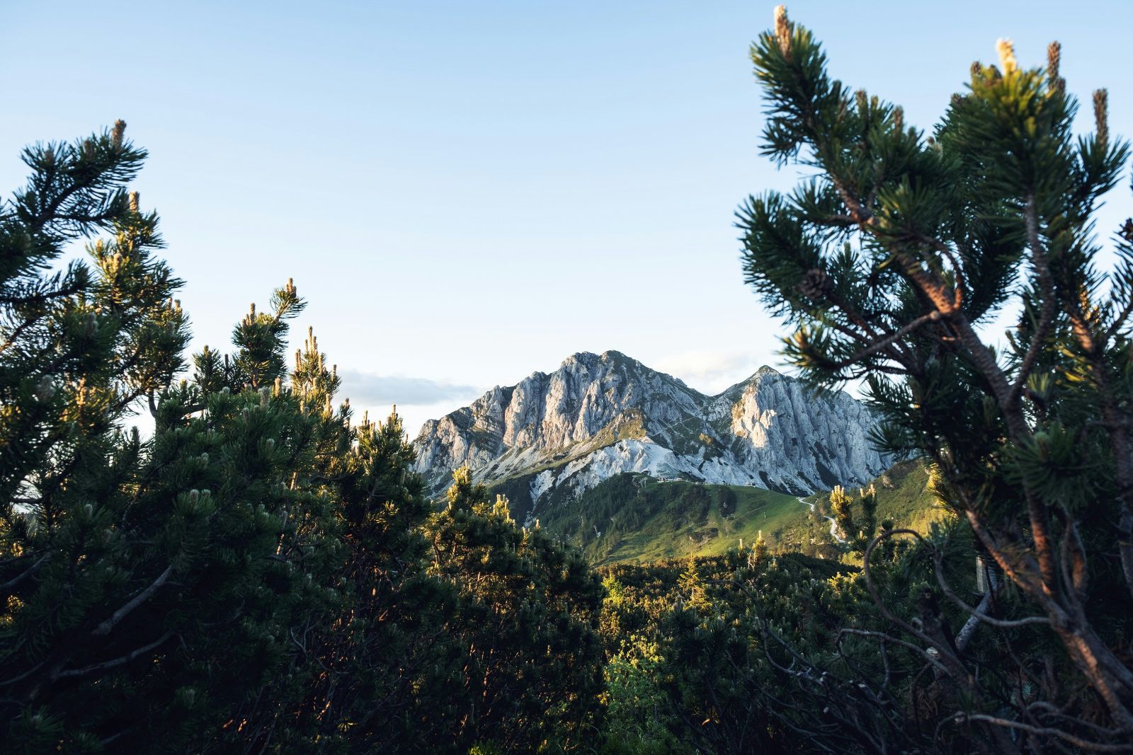 Eine Bergkette mit Bäumen © Christian Cueni - Unsplash