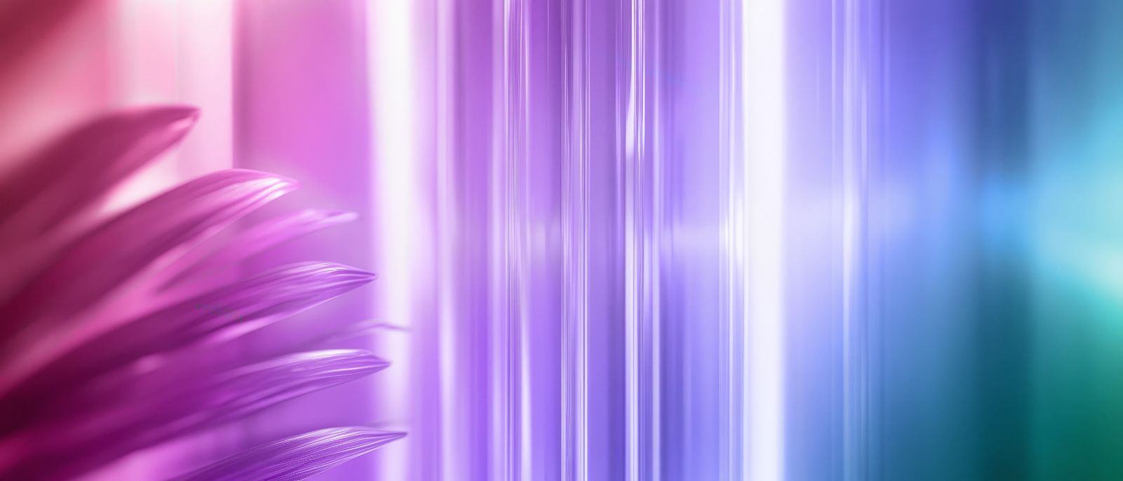 Blumen Blätter mit Glasähnlichem Hintergrund © NDmCX-Nic  - Adobe Stock 