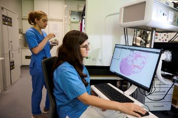 Digital Austria Act für Gesundheit. Eine Frau sitzt vor einem großen Bildschirm und betrachtet ein Scan-Bild. Zweite Frau steht daneben. © APA-Fotoservice_Heinz Tesarek  - Foto apa 