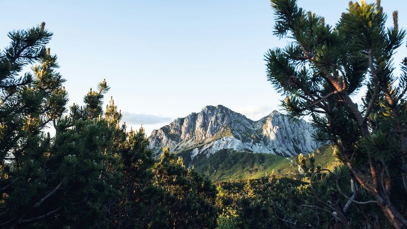 Eine Bergkette mit Bäumen © Christian Cueni  - Unsplash 
