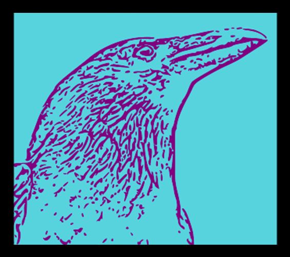 Zu sehen ist das Logo des Scryer Prolog Meetup-Events, eine violette Zeichnung eines Raben vor blauem Hintergrund.