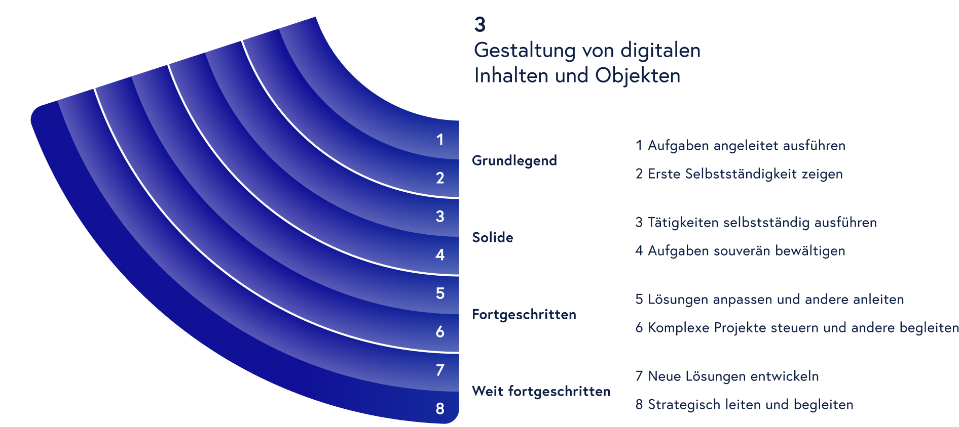 Grafische Darstellung der Detailansicht einer Stufe im DigComp 3.0 AT